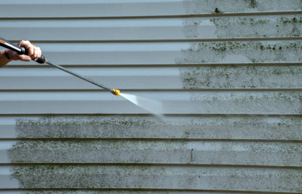 Roof Power Washing Services in Mokena, IL